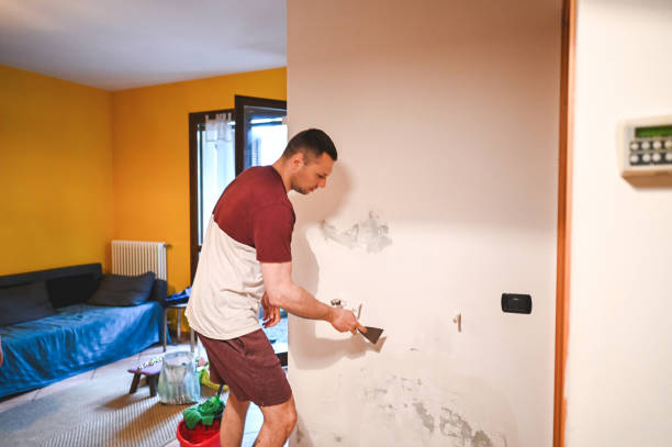 Best Industrial Mold Remediation in Limestone, IL